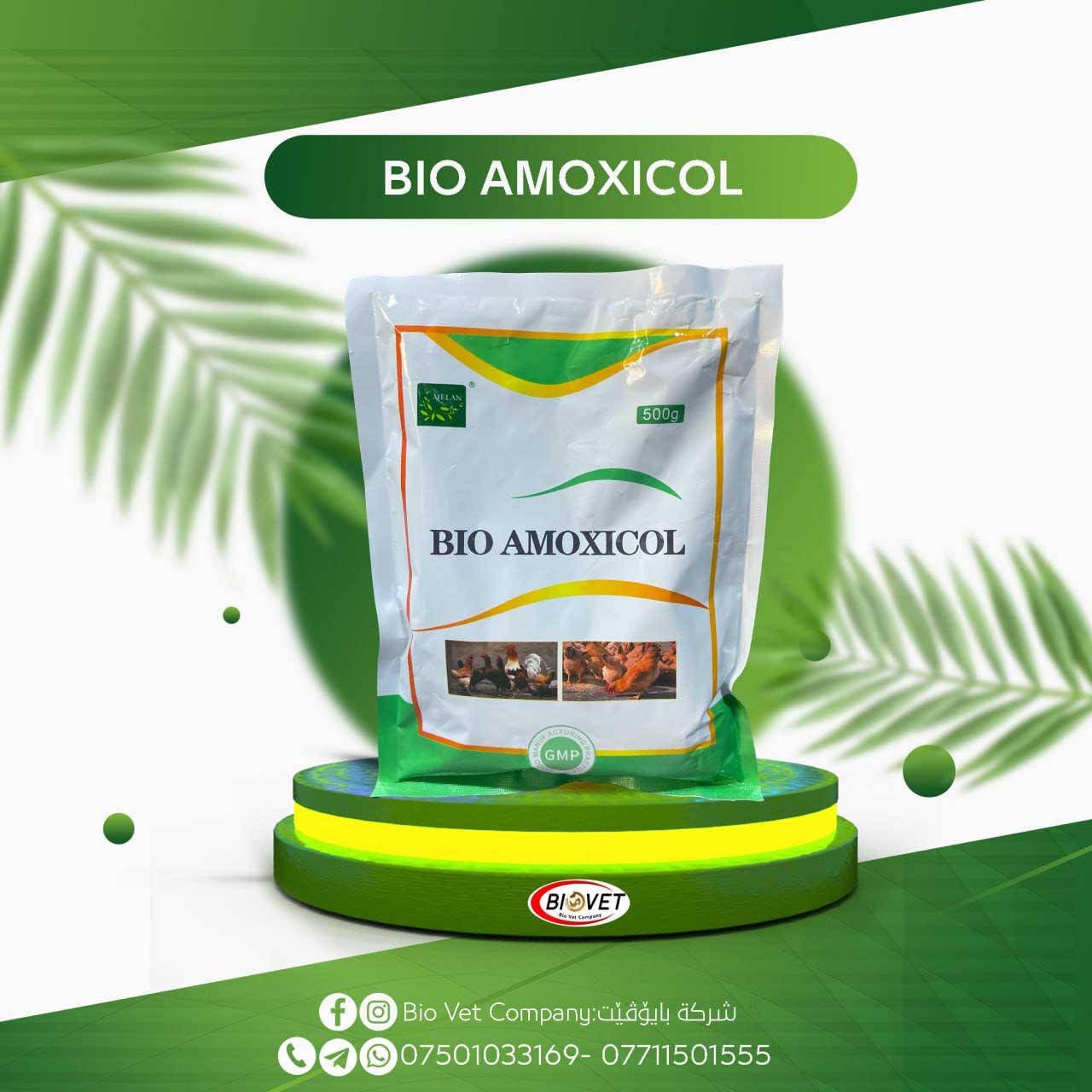 BIO AMOXICOL