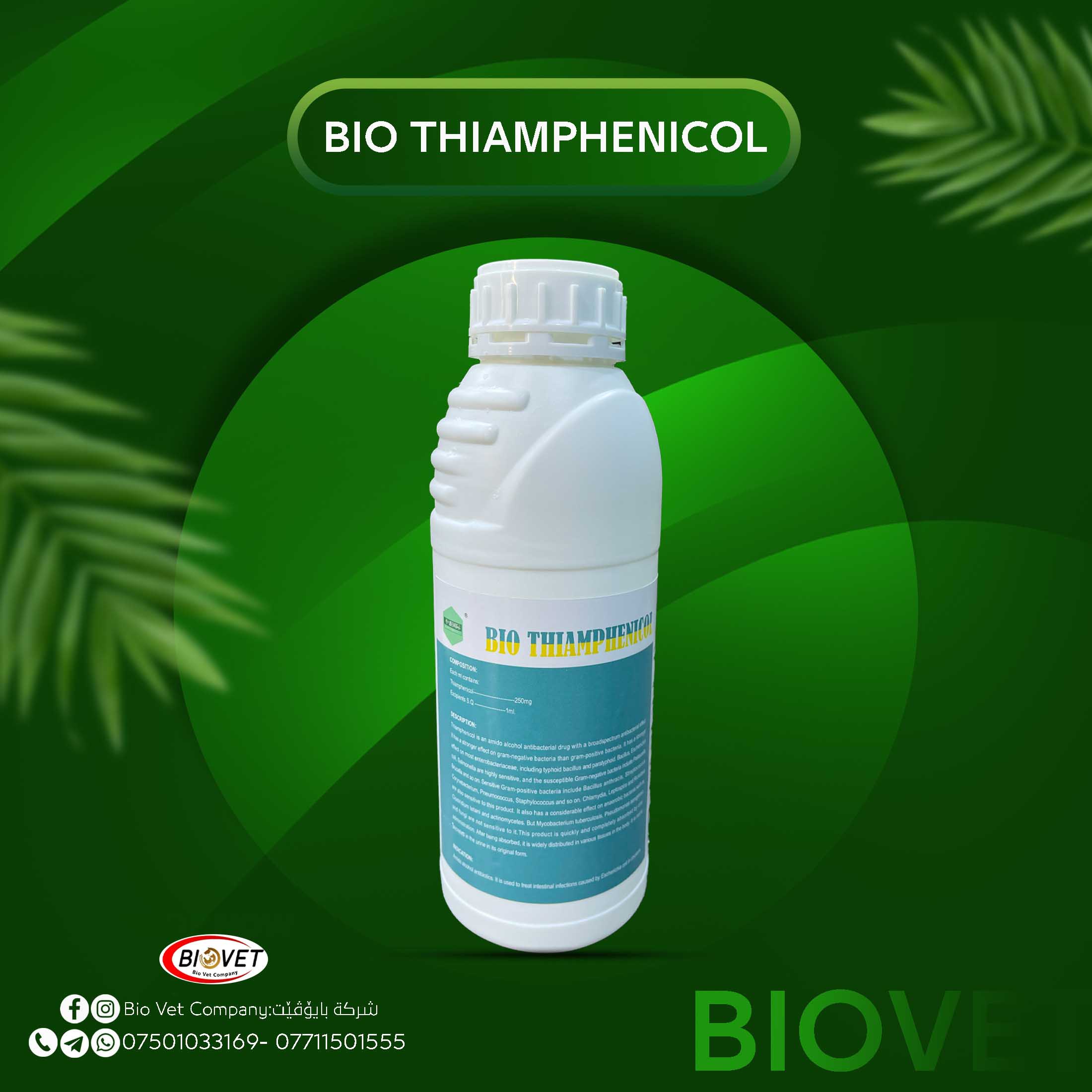 BIO THIAMPHENICOL
